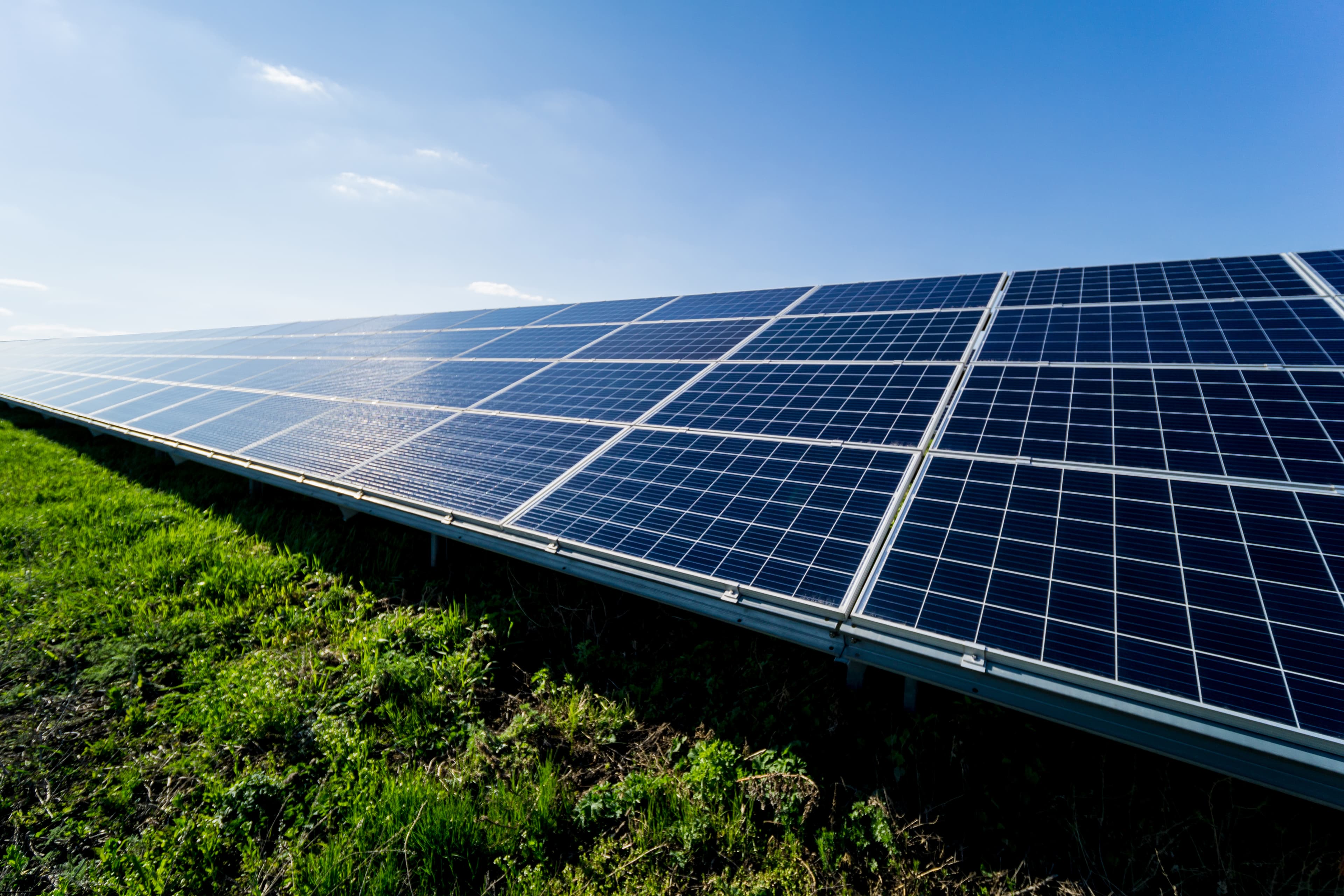 Ecotricity Business Energy Complete Review